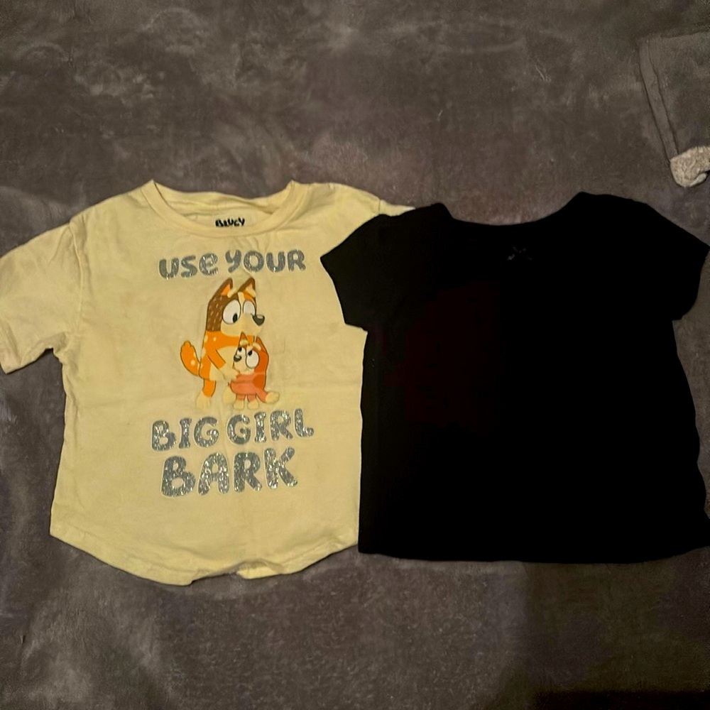 SOLD——Girls 3T bluey shirt bundle